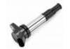 Ignition Coil:2518 1813
