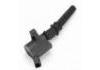 Ignition Coil:1L2Z 12029 AA