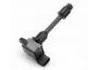 Ignition Coil:22448 2Y005